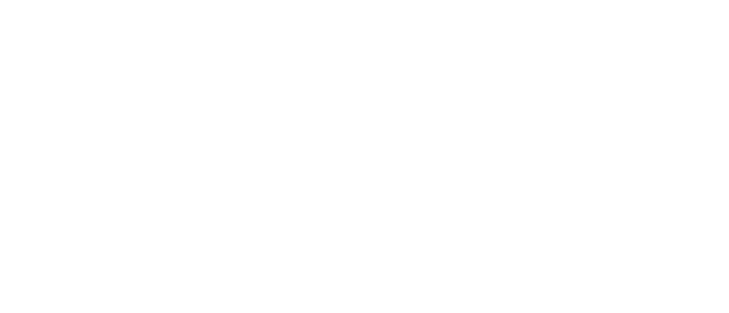 Logo Img